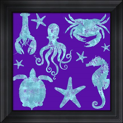 Framed Sponge Marine Life Grouping Print