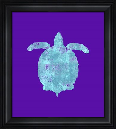 Framed Sponge Turtle Aqua Print