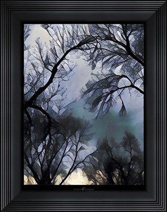 Framed End Of Day Winter Trees Print