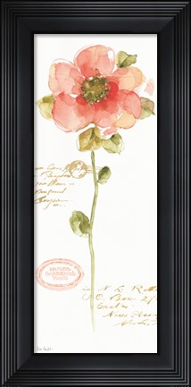 Framed Rainbow Seeds Loose Floral IV Print