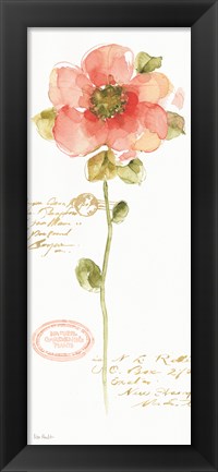 Framed Rainbow Seeds Loose Floral IV Print