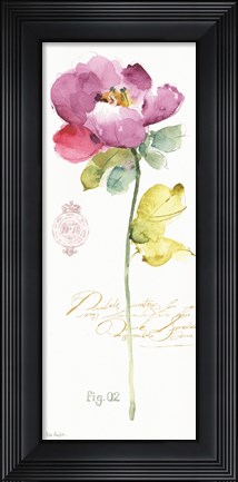 Framed Rainbow Seeds Loose Floral II Print
