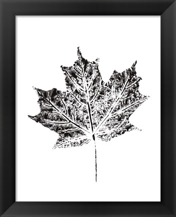 Framed Harvest Sentiments I BW no Words Print