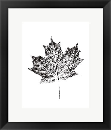 Framed Harvest Sentiments I BW no Words Print