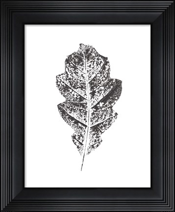 Framed Harvest Sentiments VIII BW no Words Print
