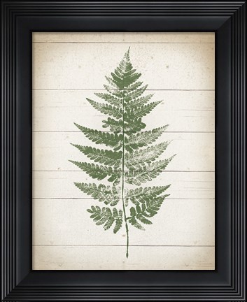 Framed Fern Print I v2 Print