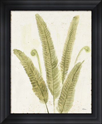 Framed Forest Ferns II v2 Antique Print