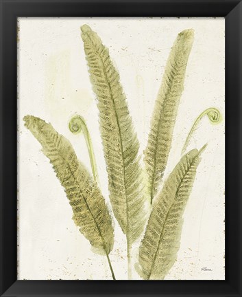 Framed Forest Ferns II v2 Antique Print