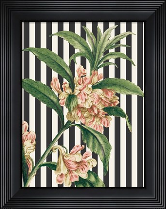 Framed Herbal Botanical XXVI Bold Print