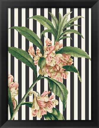 Framed Herbal Botanical XXVI Bold Print