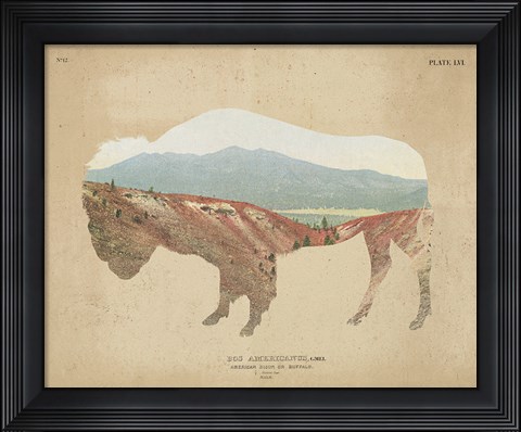 Framed American Southwest Buffalo Distressed Print