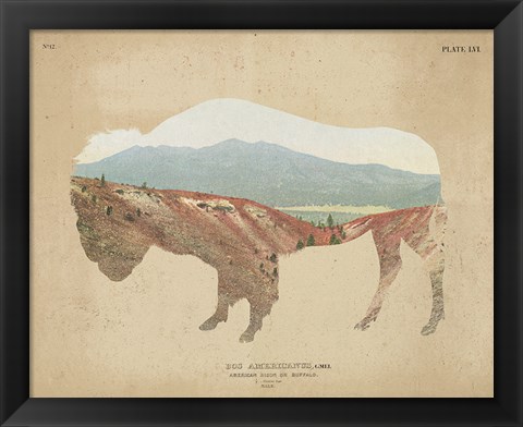 Framed American Southwest Buffalo Distressed Print