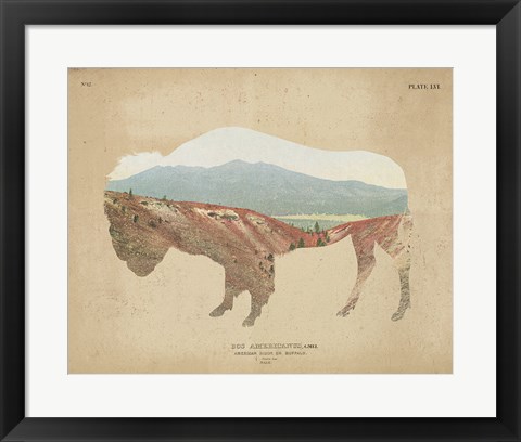 Framed American Southwest Buffalo Distressed Print