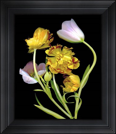Framed Tulips Print