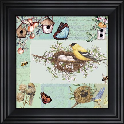 Framed Birds &amp; Bees Color-Blocks Green Print