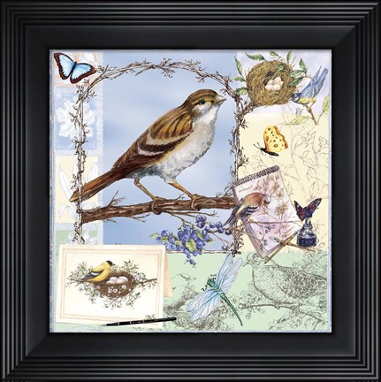 Framed Birds &amp; Butterfly Sketches-Blue Print