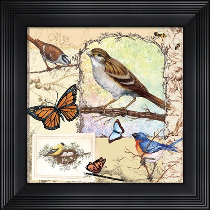 Framed Birds, Butterflys, Bees-Pastels Print