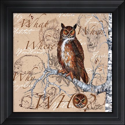 Framed Owl In The Wildnerness Print