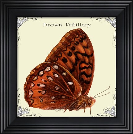 Framed Butterfly Brown Fritillary Print