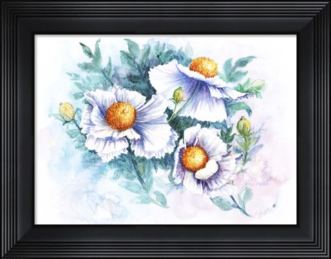 Framed White Poppies Print