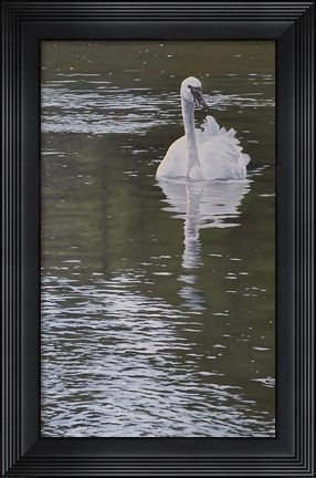 Framed On the Madison Print