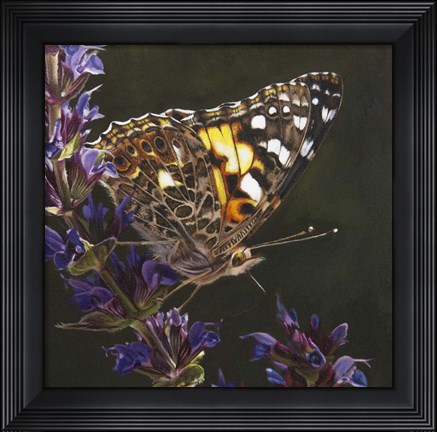 Framed Butterfly 1 Print