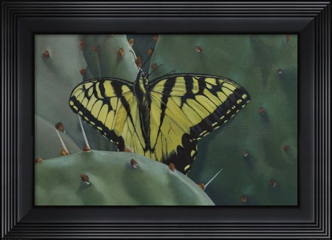 Framed Butterfly 2 Print