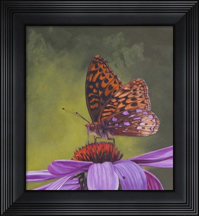 Framed Butterfly 4 Print