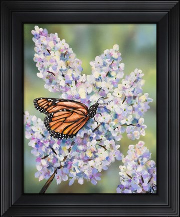 Framed Butterfly with Hydrangea Print