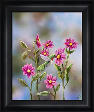 Framed Hummingbird with Dhalia Print