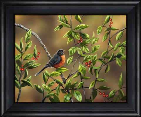 Framed Robin with Holly Print