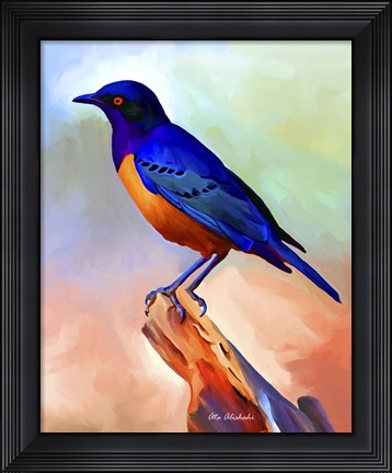 Framed Bird Print