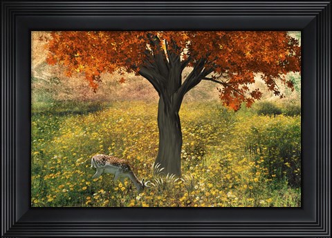 Framed Nature Color Print