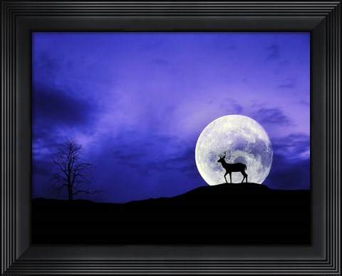 Framed Big Moon Print