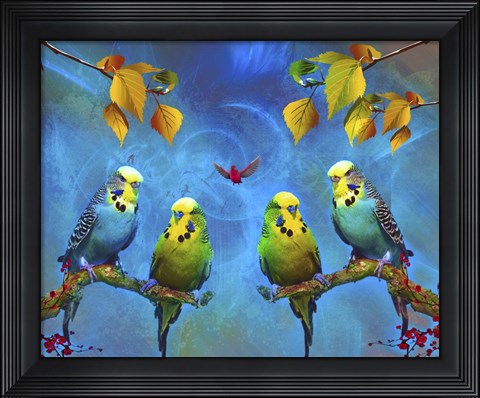 Framed Color Birds Print