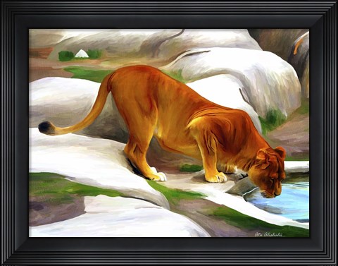 Framed Lioness Print