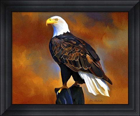 Framed Eagle Print