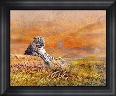 Framed Cat Print