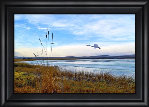 Framed Wild Nature 2 Print