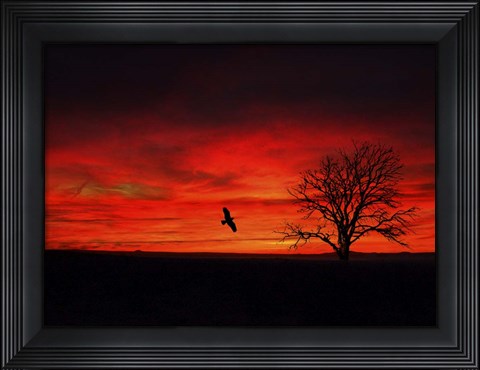 Framed Lone Tree And A Bird Print