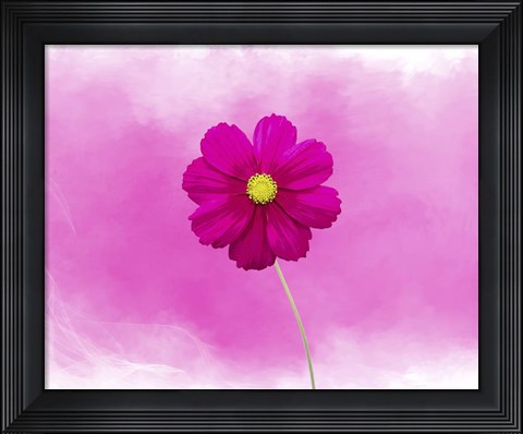 Framed Pink Flower Print