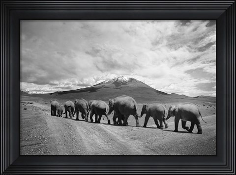 Framed Stay In Line Print