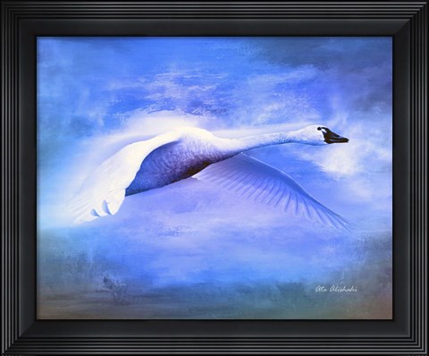 Framed Swan Fly Print