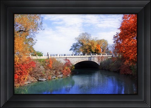 Framed Autumn 2 Print