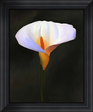Framed Beautiful Flower Print