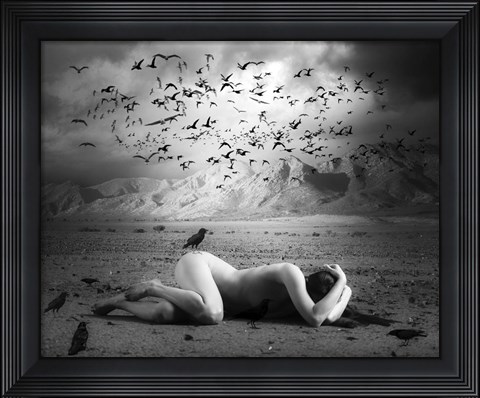 Framed Black Bird Land Print