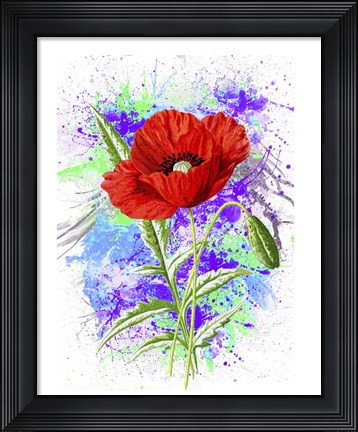 Framed Poppy Flowers Print