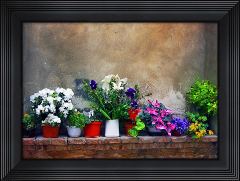 Framed Wall Flowers Print