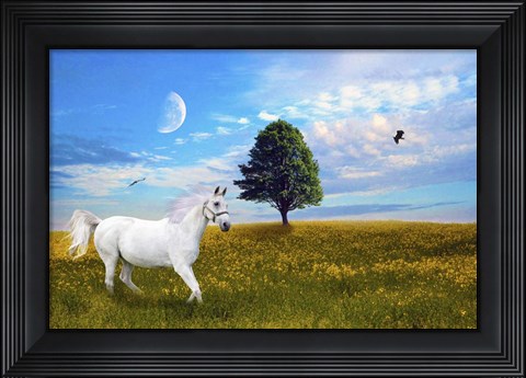 Framed Wild White Horse Print