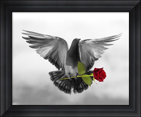 Framed Love Bird Print